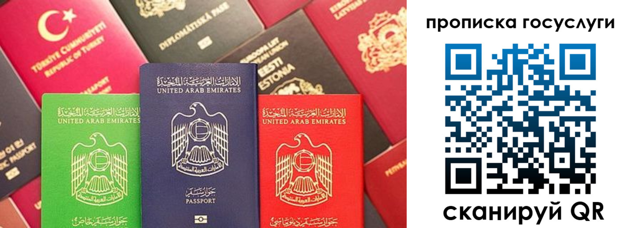 прописка паспорт в Кингисеппе