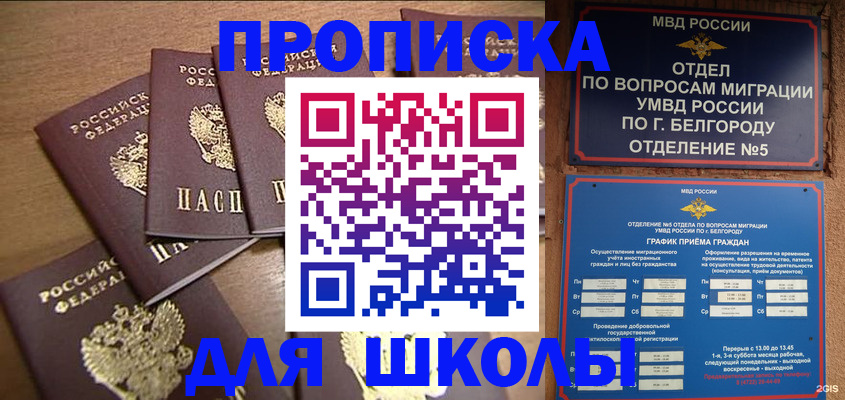 прописка гарантия в Кингисеппе