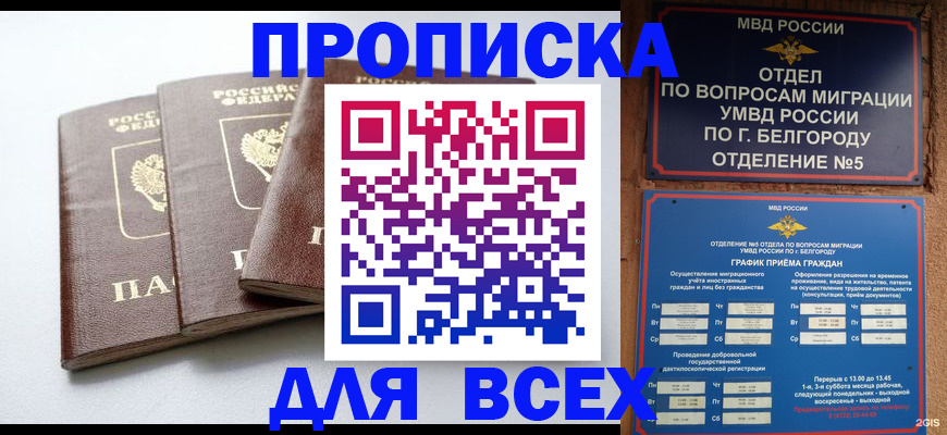 прописка в Кингисеппе